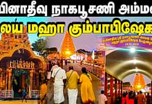 நாகபூசணி அம்மன் ஆலய மஹா கும்பாபிஷேகம்!