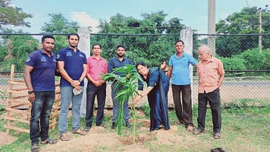 கல்முனை