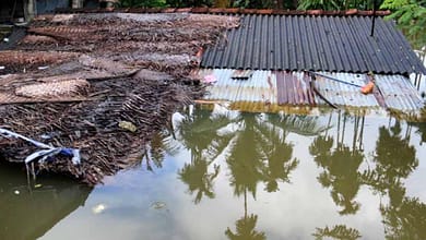 இயற்கை பேரிடர்