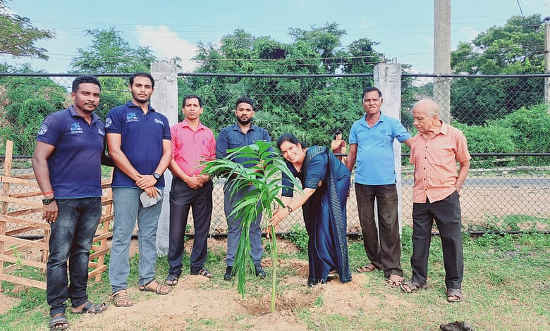 கல்முனை